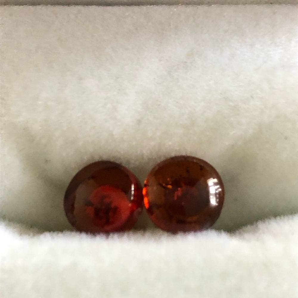 NWOT Round Amber Stud Earrings
